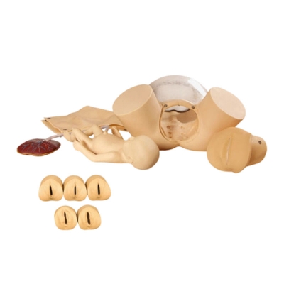 高级分娩综合技能训练模型