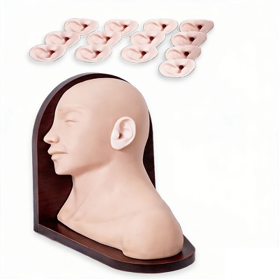 高级耳部检查模型(25种病变)