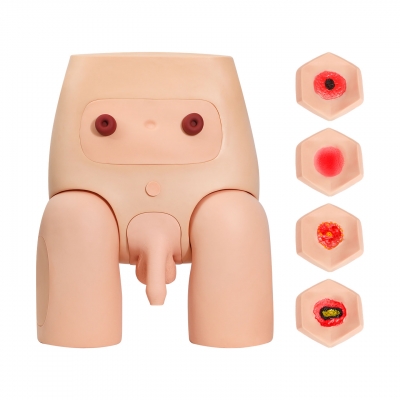 高级男性导尿示教模型