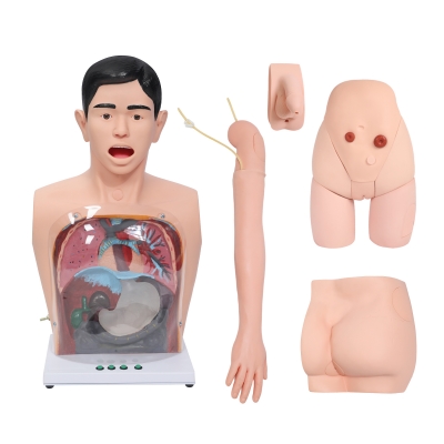 豪华型基础护理模型