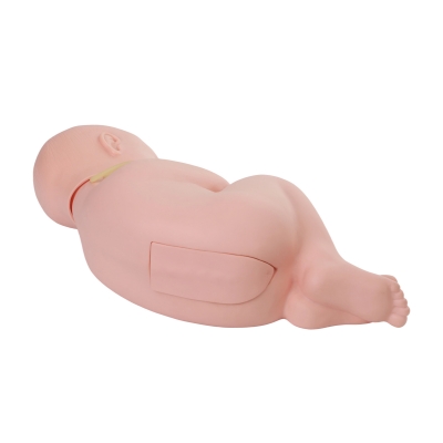 高级新生儿腰椎穿刺模型